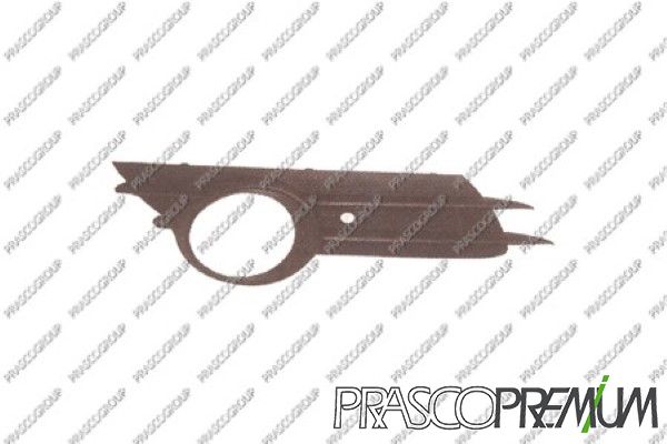 Op0342133-prasco20200201-8384-1ip74w1_original