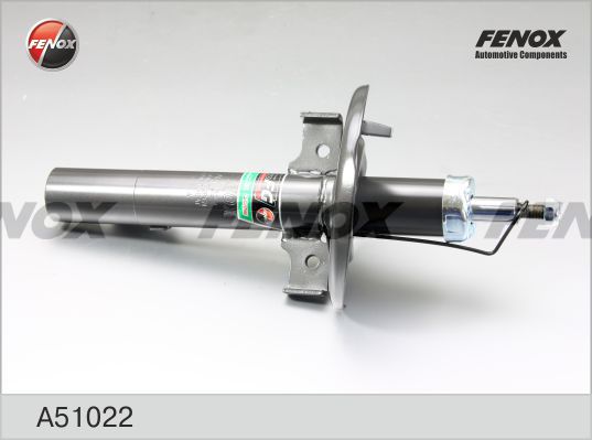 A51022-fenox20200229-23120-1sgxjb9_original