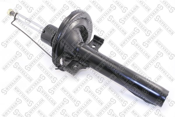 42130223sx-stellox20200210-13575-1d75tpt_original