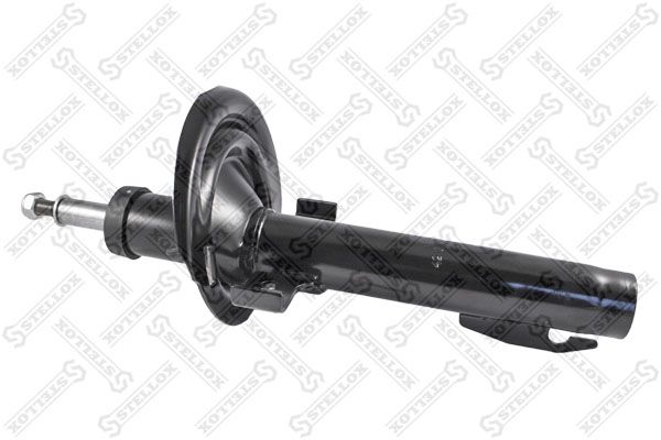 42139943sx-stellox20200229-23120-4lizpk_original