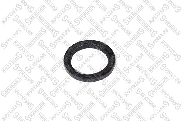 3400008sx-stellox20200218-27360-zqea4p_original