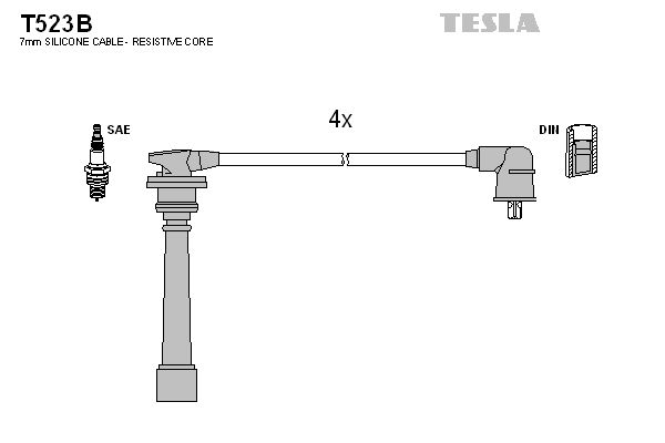 T523b-tesla20200217-10364-cgwyjj_original