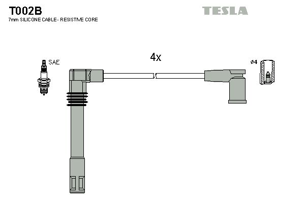 T002b-tesla20200203-8384-s57w7o_original