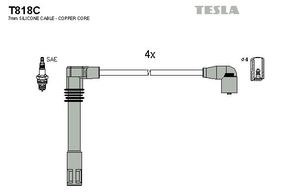 T818c-tesla20200203-8384-2dcgsw_original