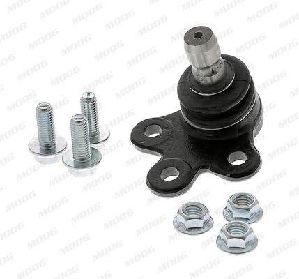 Debj13825-moog20200207-1758-dt6quc_original