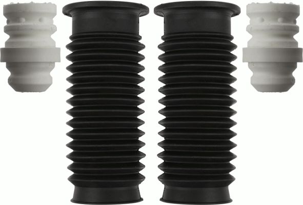900419-sachs20200222-14760-h6o70y_original