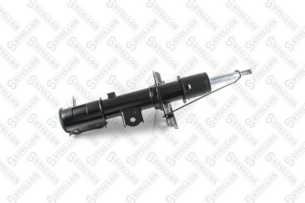 42140089sx-stellox20200217-10364-pkzzd1_original