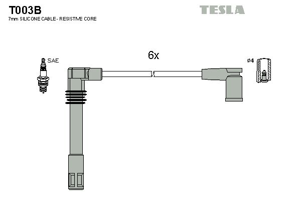 T003b-tesla20200221-18627-1jg9efa_original