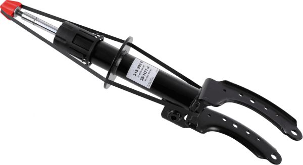 315999-sachs20200204-8384-194lfis_original