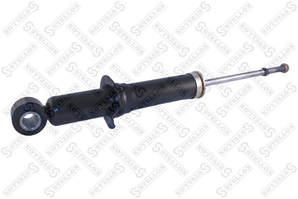 32130069sx-stellox20200207-1758-aixbw2_original