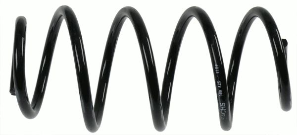 998825-sachs20200204-8384-okmkz4_original
