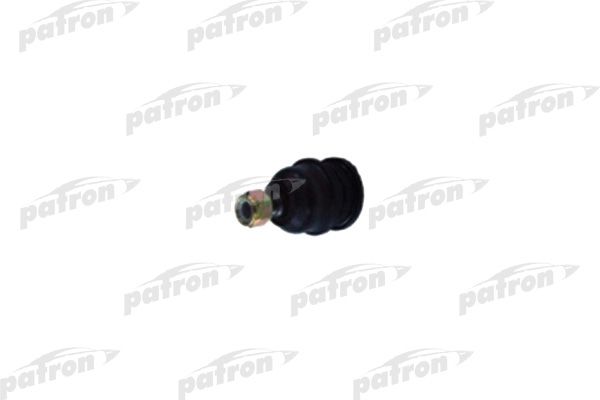 Ps3021-patron20200204-8384-fn2wmy_original