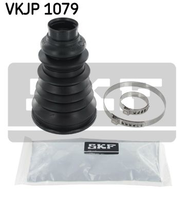 Vkjp1079-skf20200204-8384-1vyitz6_original