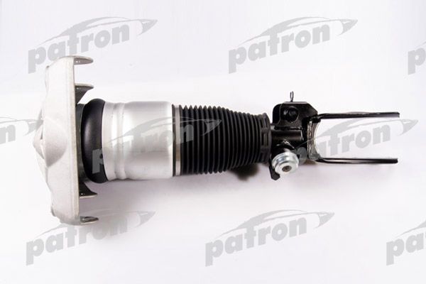Pas2005-patron20200204-8384-1paknzy_original