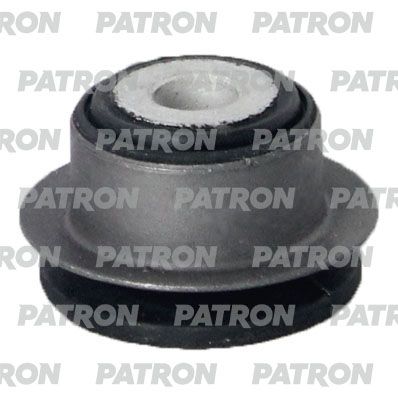 Pse11664-patron20200204-8384-da3p78_original