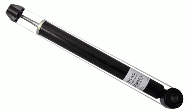 315529-sachs20200224-14760-10m78fw_original