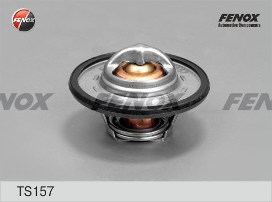 Ts157-fenox20200205-8384-10jenke_original