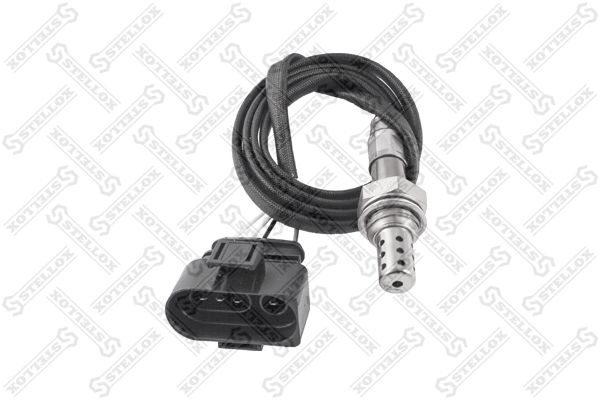 2000013sx-stellox20200217-10364-1e2e6av_original