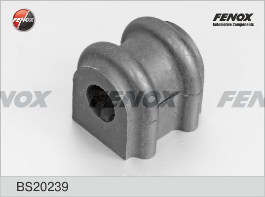Bs20239-fenox20200206-1758-oay13k_original