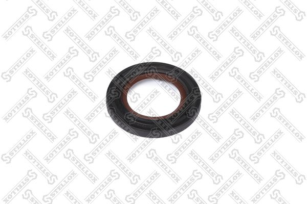 3400015sx-stellox20200220-18627-raca8c_original