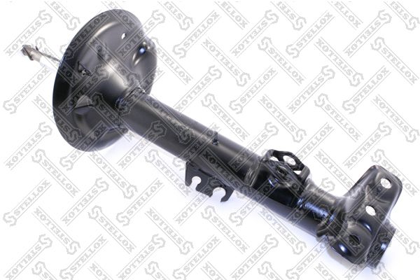 42140050sx-stellox20200225-14760-4ekzzj_original