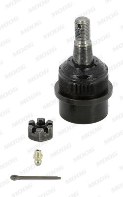 Amgk3134t-moog20200207-1758-14c1dib_original