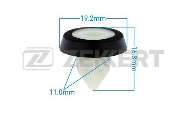 Be2647-zekkert20200220-18627-dgpg73_original