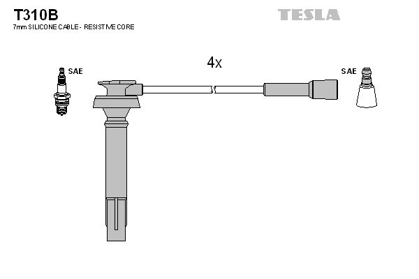 T310b-tesla20200227-1155-121as96_original