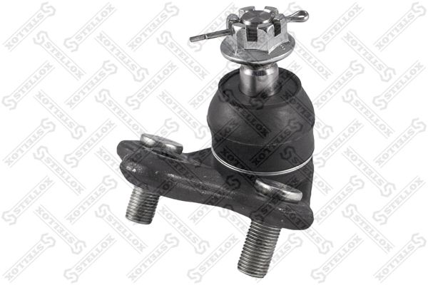 5298034asx-stellox20200209-16500-pvjeyw_original
