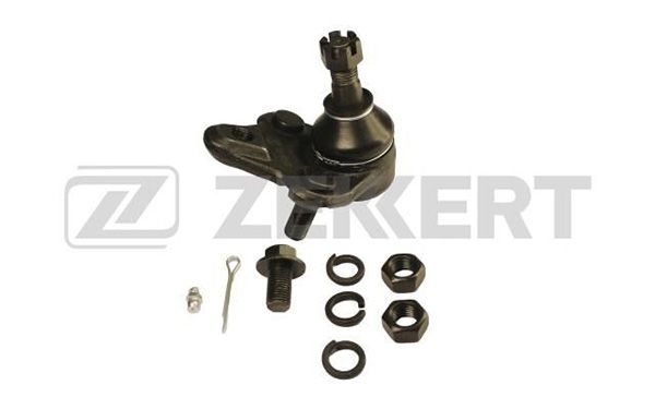 Tg5117-zekkert20200209-16500-1mrok0t_original