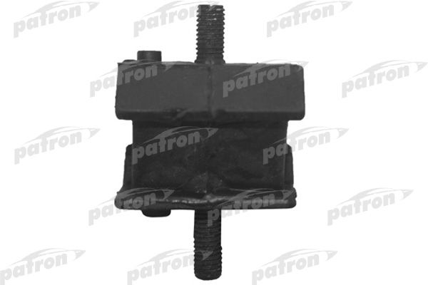 Pse3716-patron20200210-13575-tos8oo_original