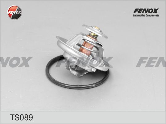 Ts089-fenox20200210-13575-1ca2psp_original