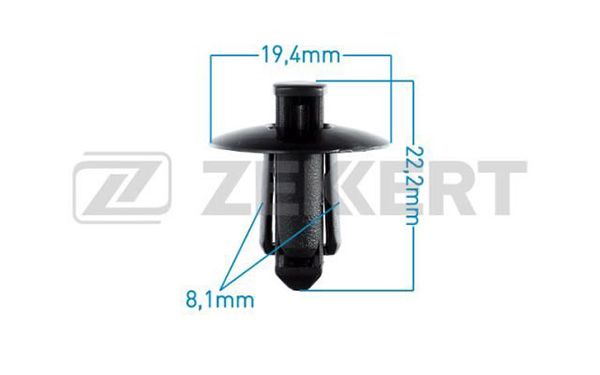 Be1998-zekkert20200229-23120-wqo7nd_original