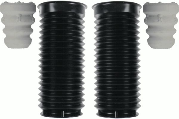 900387-sachs20200210-13575-r4xnds_original