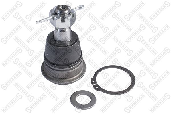 5200338sx-stellox20200211-13575-fy14kd_original