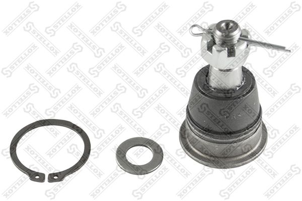 5274016sx-stellox20200211-13575-cplkrh_original