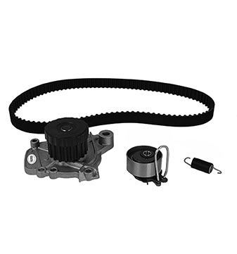 3008761-metelli20200219-27360-19satyb_original