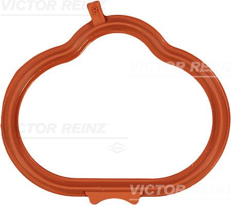 715429700-reinz20200211-13575-udtgaa_original