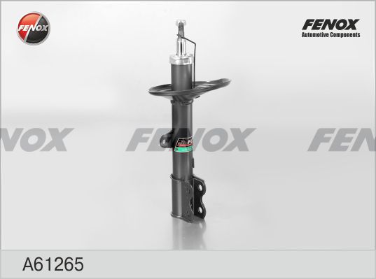 A61265-fenox20200211-13575-t16df3_original