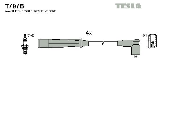 T797b-tesla20200211-13575-ev1i3o_original