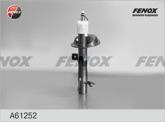 A61252-fenox20200211-13575-1ib9xgz_original