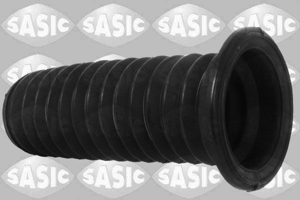 2654032-sasic20200211-13575-6kgy6i_original