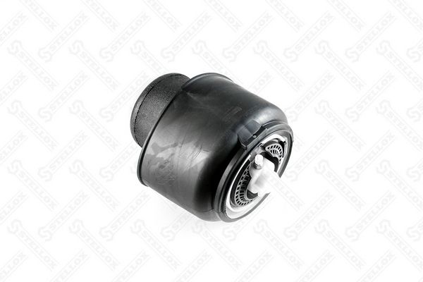 3000004sx-stellox20200211-13575-14pj8ua_original