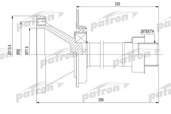 Pds0446-patron20200211-13575-5l5p01_original