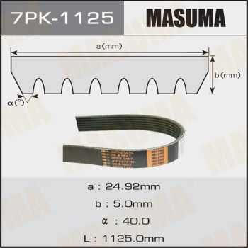 7pk1125-masuma20200212-13575-bvmacv_original