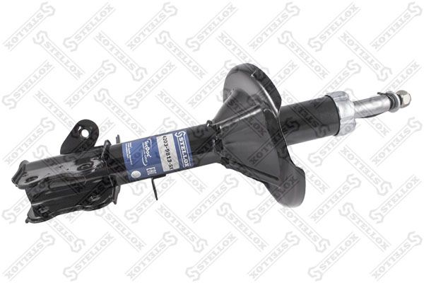 42039813sx-stellox20200212-13575-prm26a_original