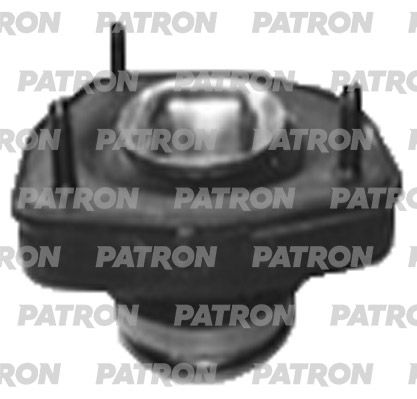 Pse4327-patron20200212-13575-1r2epip_original