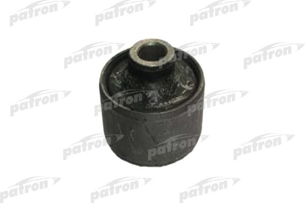 Pse1600-patron20200213-13575-1gcww0l_original