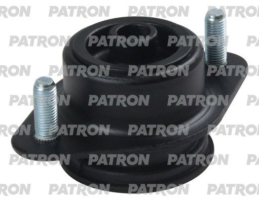 Pse3799-patron20200226-14760-firum_original