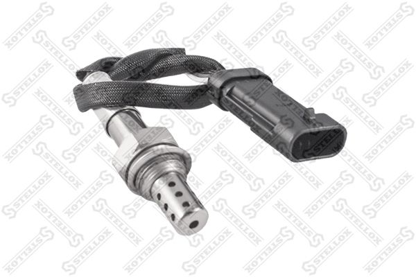 2000084sx-stellox20200217-10364-1wjrauy_original